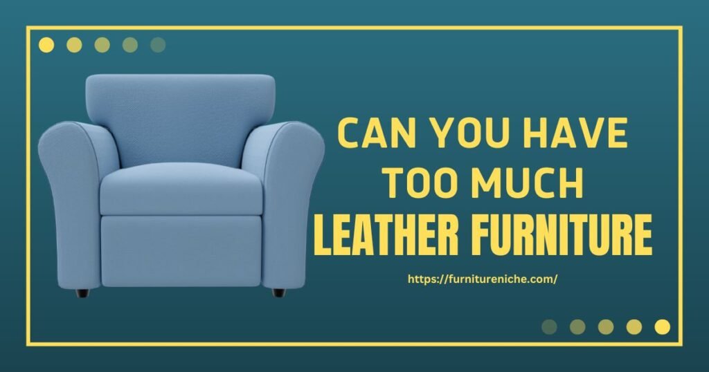 Can you have too much leather furniture