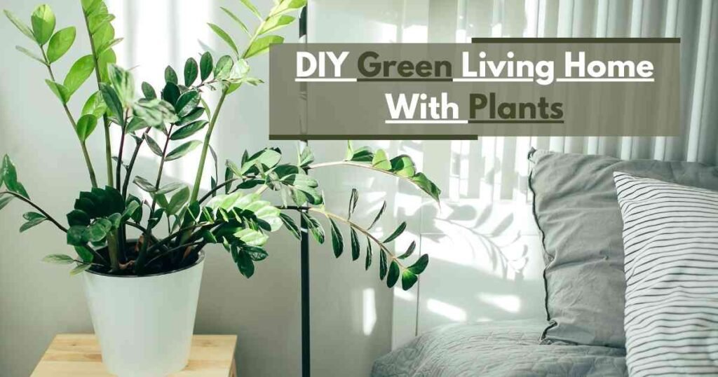 DIY Green Living Home  With Plants